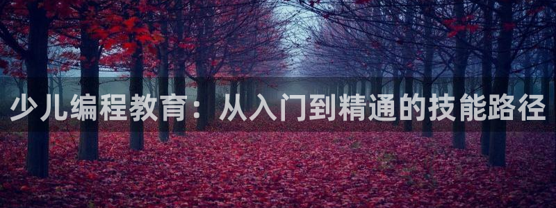 必一体育sport下载