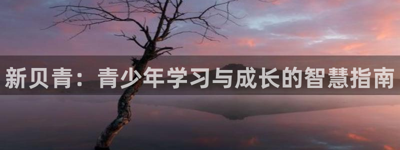 必一体育官方入口