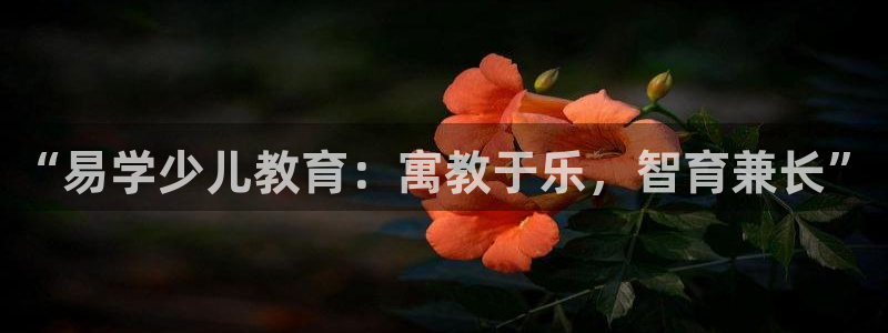 必一体育下载意思