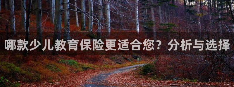 必一体育平台