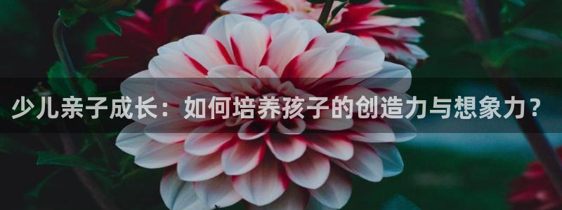 必一体育APP下载安装