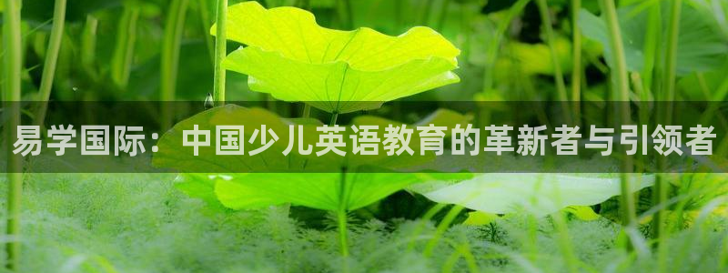 b体育必一下载