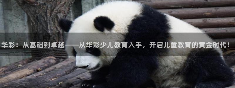 必一体育登入