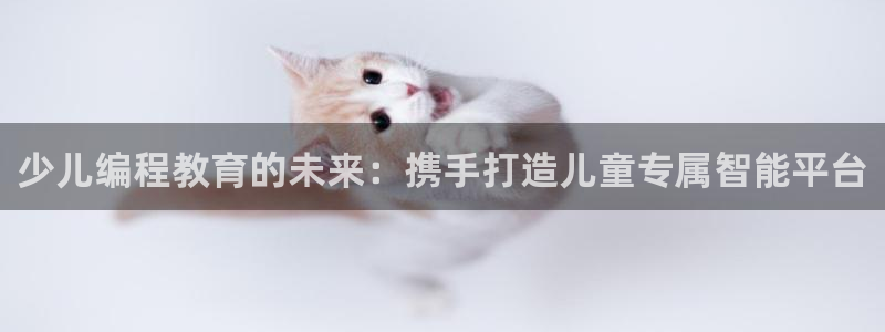 必一体育在线玩