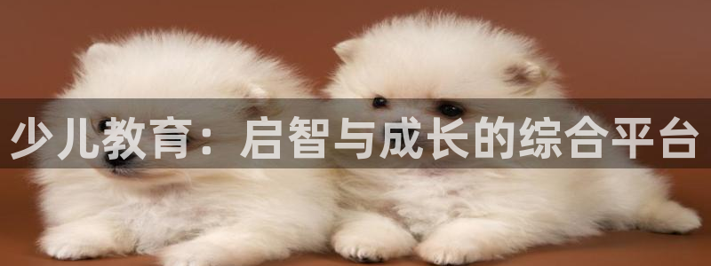 必一体育sport下载
