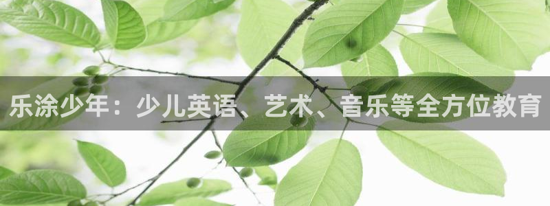 必一体育app官方