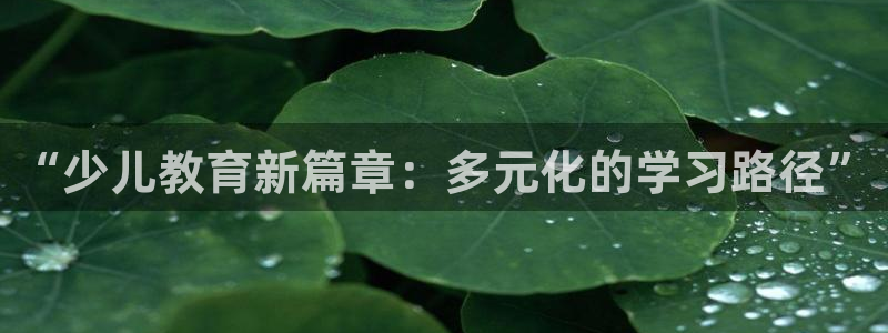 必一体育下载登入