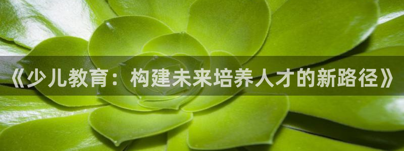 必一体育游戏玩法