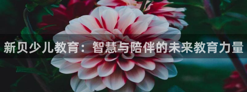 必一体育运动官网