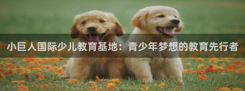 必一体育sport官方网站