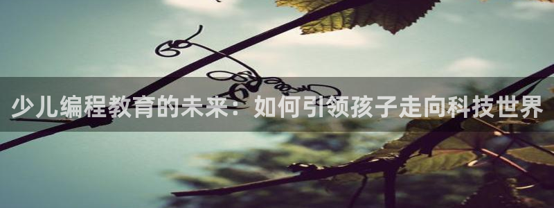 b体育官网下载入口app必一