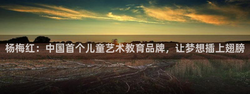 必一运动sport爱查股