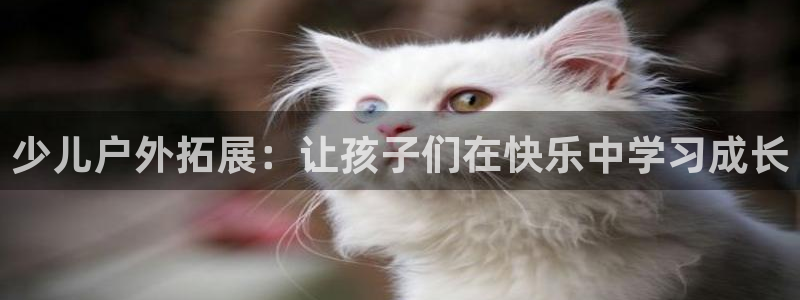 必一体育在线玩
