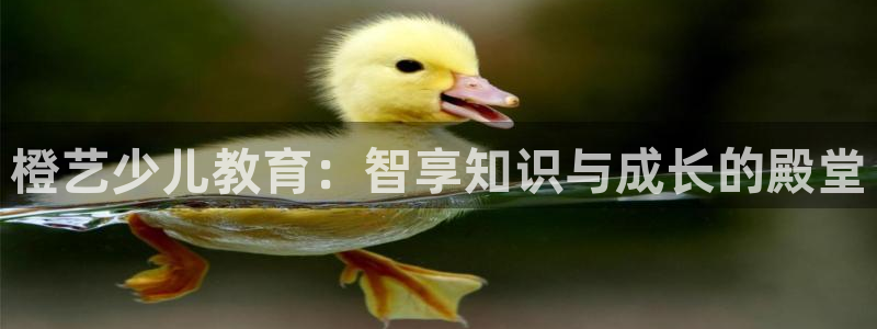 必一体育官方入口