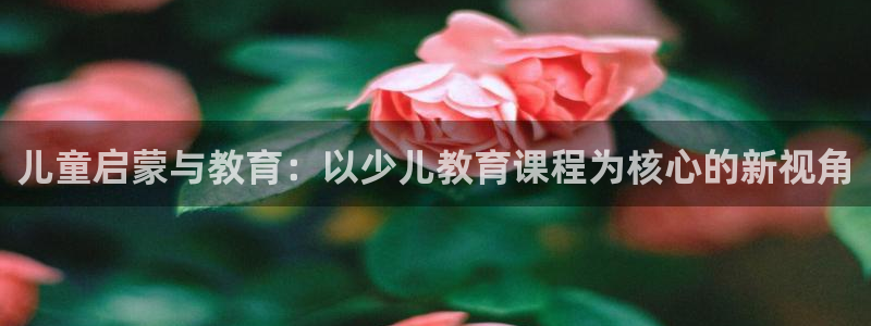 必一体育官网网址
