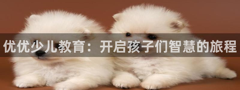 必一体育在线入口