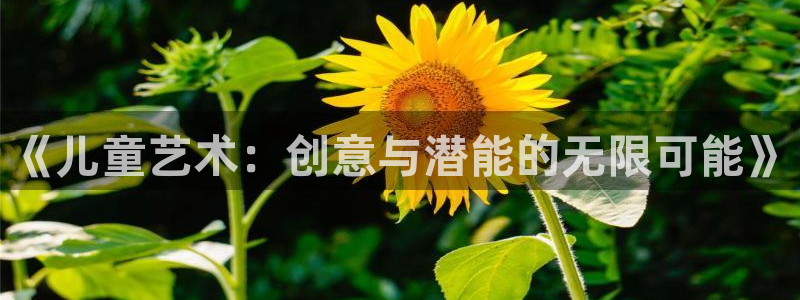 必一体育sport