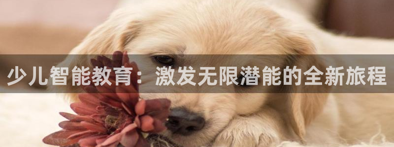 必一体育在线下载