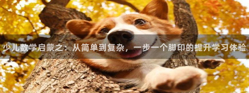 必一体育官方网站入口