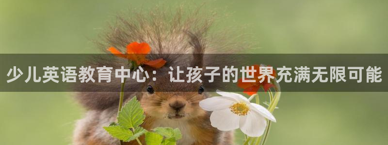 必一体育sport装机吧
