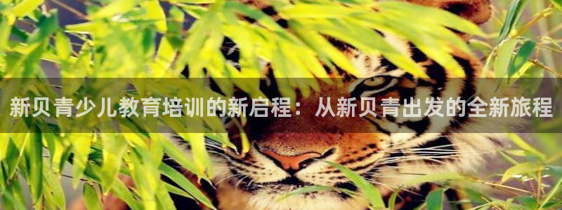 必一体育在线下载