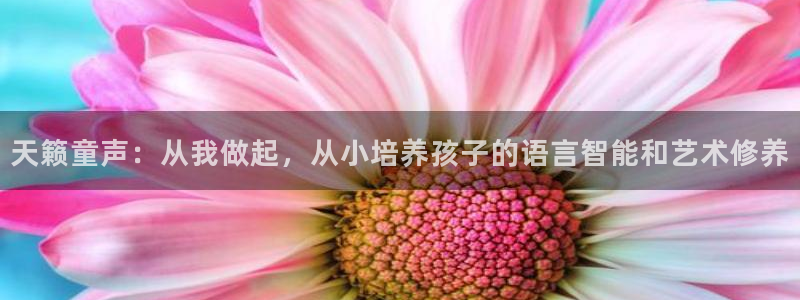 必一体育官方下载入口