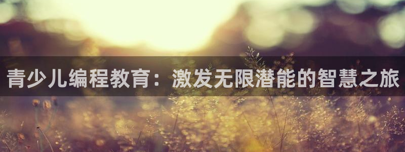 必一体育网页