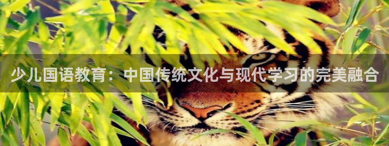 必一体育网页登陆