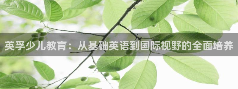 必一体育官方网站入口