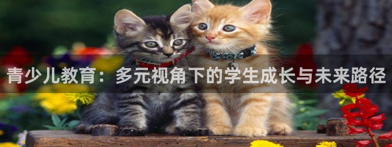 必一体育APP