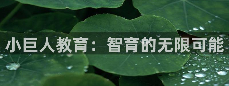 必一体育网页登陆