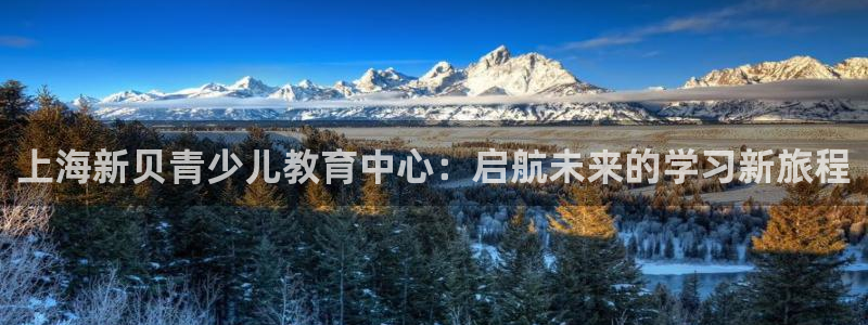 必一体育手机下载