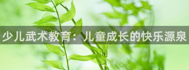 必一体育sport下载