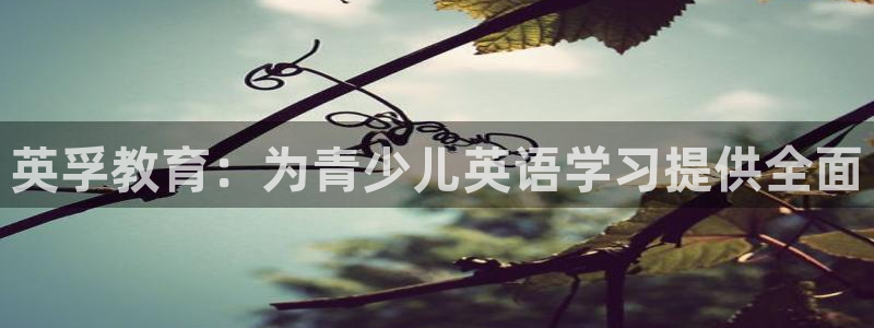 必一体育app下载安装