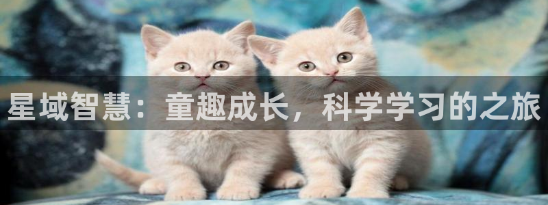 b体育必一下载