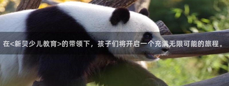 必一体育登入