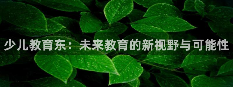 必一体育是啥