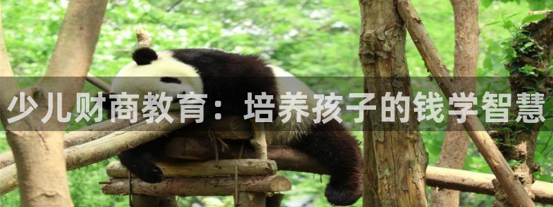 必一体育app官方下载