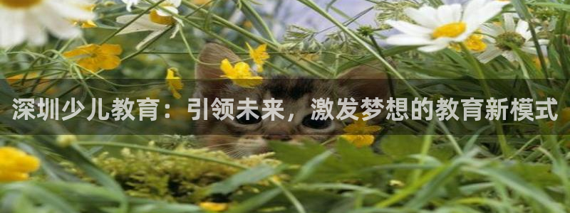 必一体育登入