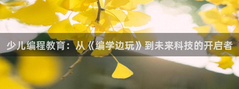 必一体育电子app