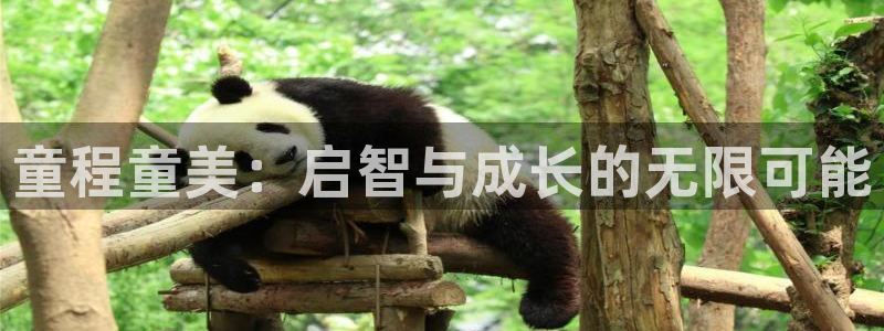 必一体育app官方下载入口