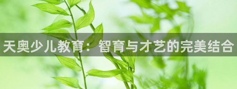 必一体育sport装机吧