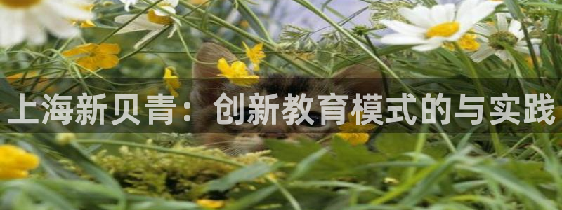 必一体育运动下载