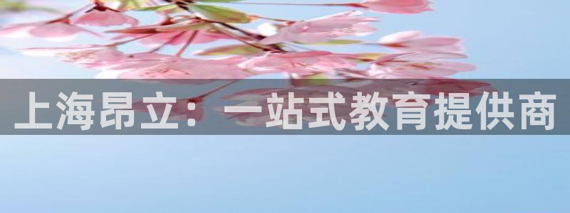 必一体育游戏玩法