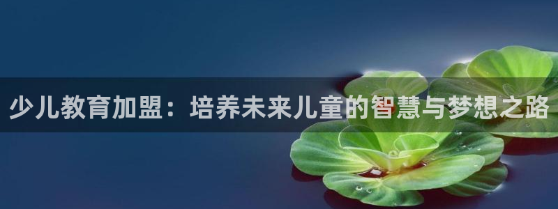 必一体育app下载最新版本苹果