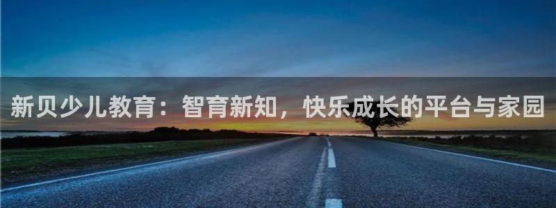 必一体育bsport下载