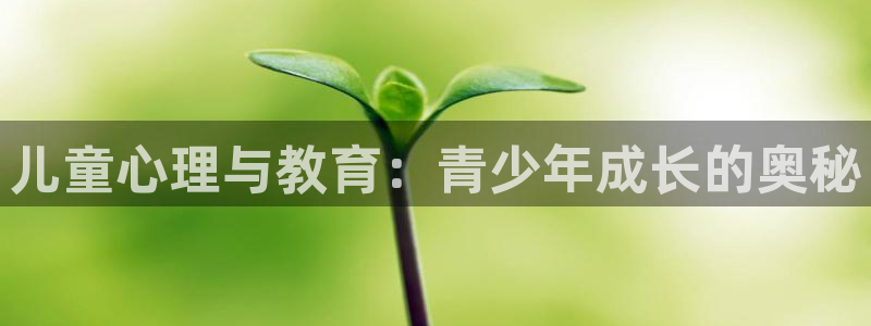 必一体育sport网页版
