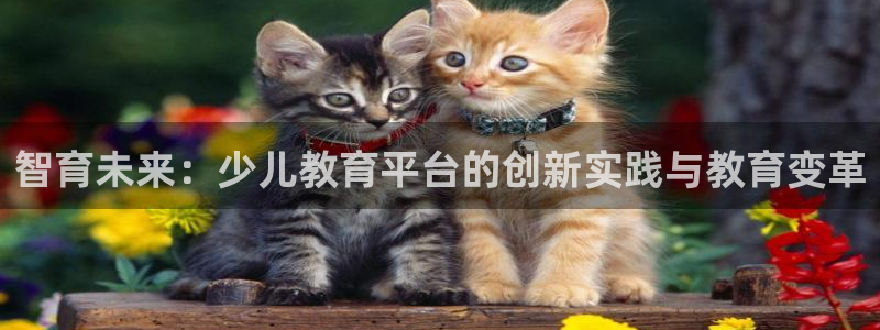 必一运动体育app