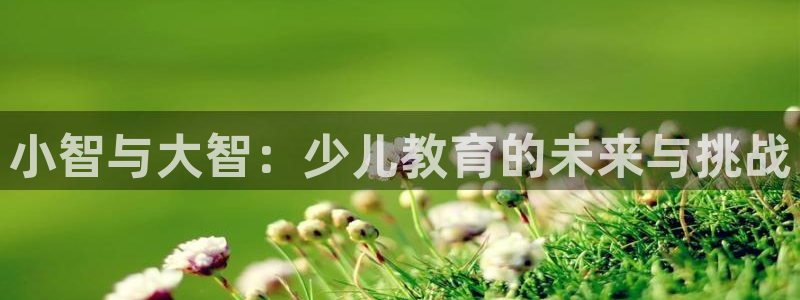 必一体育没了
