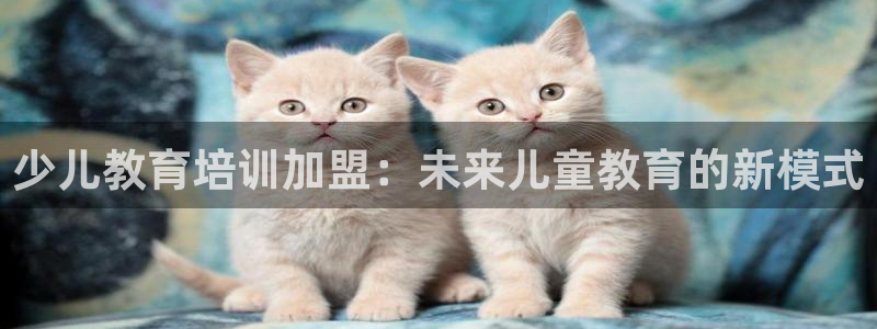 必一体育bsport下载